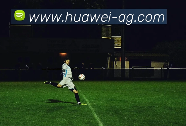 多媒体互动体验